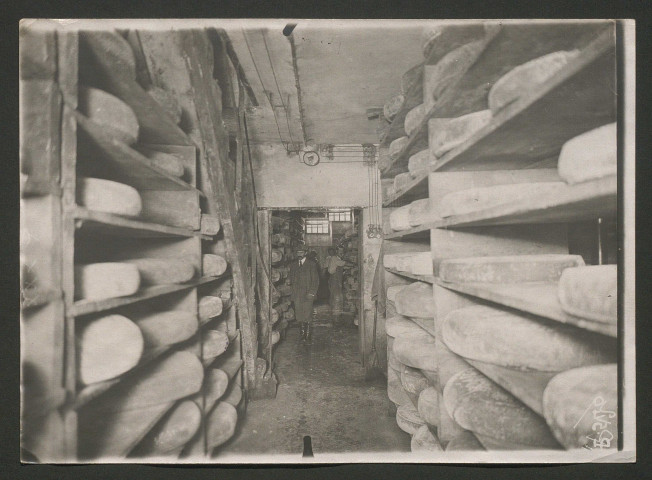 Annecy, fromagerie Thomé, réserve de 200 000 kilos de fromage de gruyère