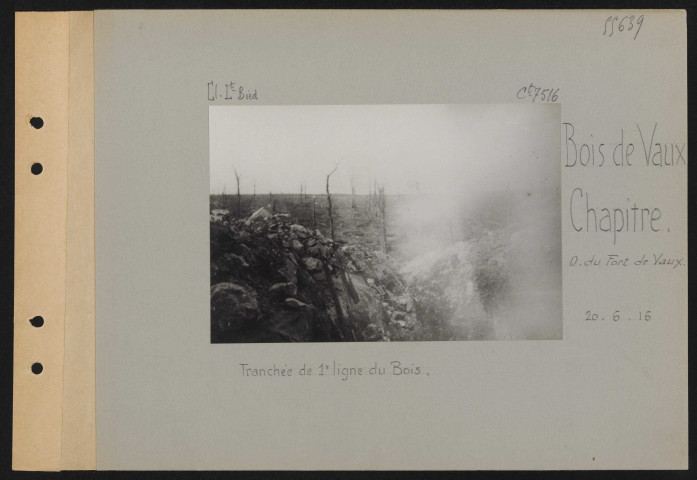 Bois de Vaux-Chapitre (ouest du Fort de Vaux). Tranchée de première ligne du bois