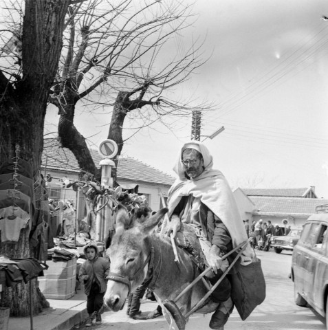 Aïn El Hammam (Michelet). 1