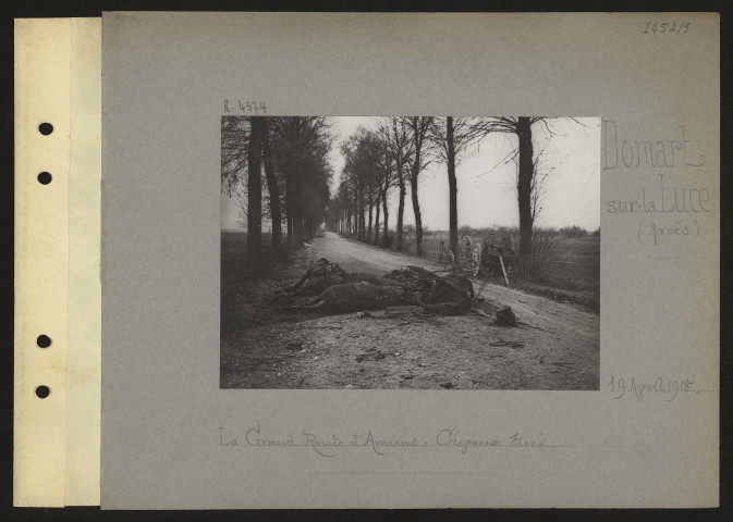 Domart-sur-la-Luce (près). La grand'route d'Amiens ; chevaux tués