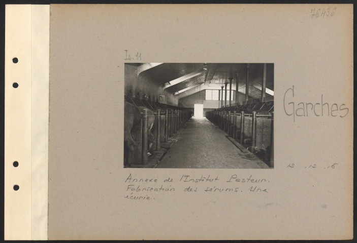 Garches. Annexe de l'Institut Pasteur. Fabrication des sérums. Une écurie