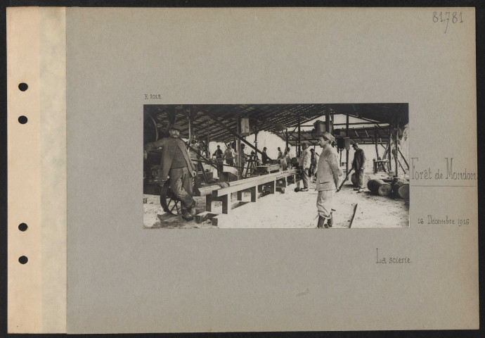 Forêt de Mondon. La scierie