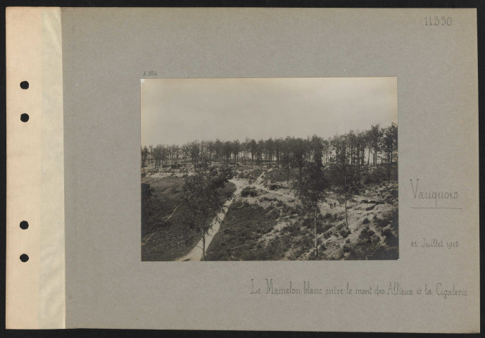 Vauquois. Le Mamelon blanc entre le mont des Allieux et La Cigalerie