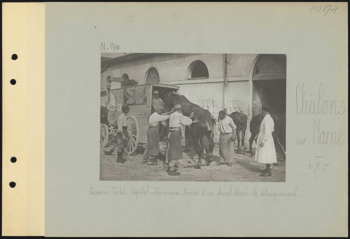 Châlons-sur-Marne. Caserne Tirlet. Hôpital vétérinaire. Arrivée d'un cheval blessé : le débarquement