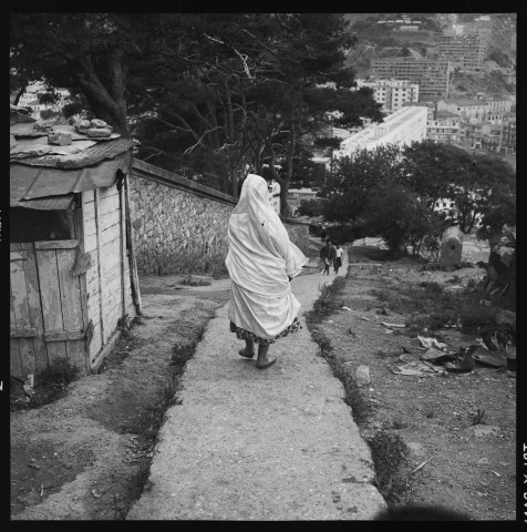 Alger: vues depuis les hauteurs