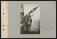 Candor (près). Remise de décorations par le général Pétain : le drapeau du régiment d'infanterie coloniale du Maroc, décoré de la fourragère aux couleurs de la Légion d'honneur (cinq palmes et croix de la Légion d'honneur
