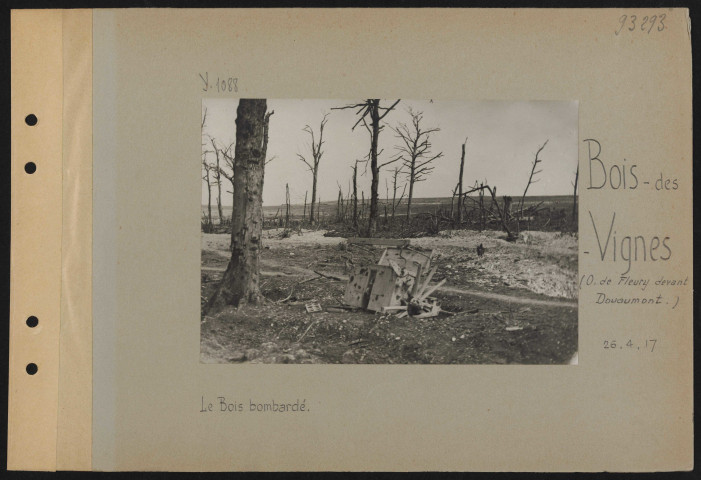 Bois des Vignes (ouest de Fleury devant Douaumont). Le bois bombardé