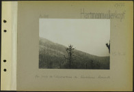 Hartmannswillerkopf. Vue prise de l'observatoire du blockhaus Arnault