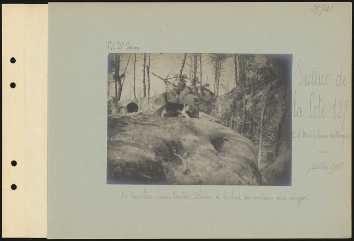 Secteur de la Cote 127 (sud-ouest et nord-ouest de la Ferme des Wacques). En tranchée. Lance-bombes Cellerier et le chat du médecin aide-major