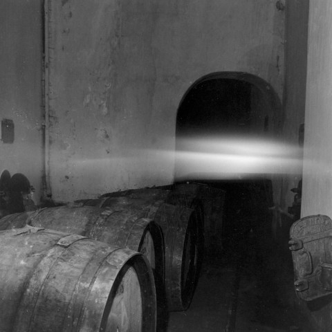 Reportage sur le domaine de la Trappe, propriété nationalisée de la famille Borgeaud à Staouëli, près d'Alger. 1