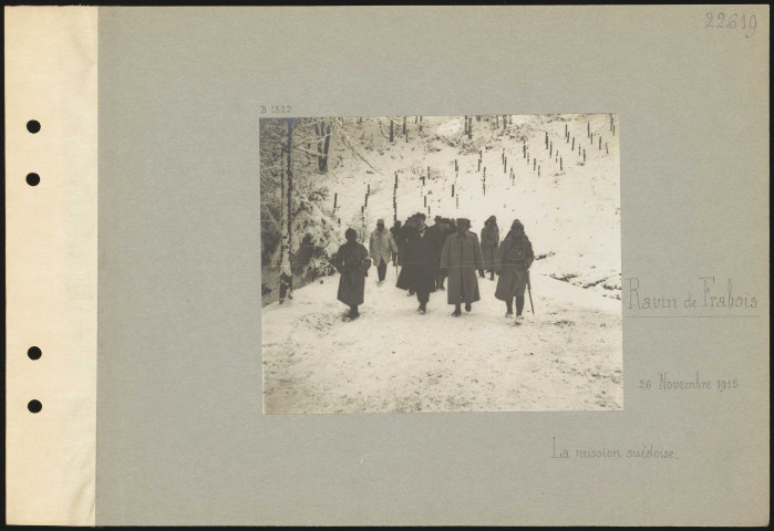 Ravin de Frabois. La mission suédoise