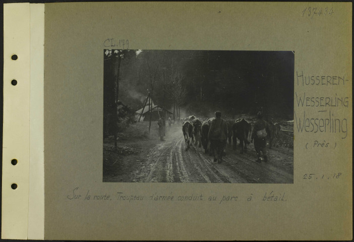 Hüsseren-Wesserling. Wesserling (Près). Sur la route. Troupeau d'armée conduit au parc à bétail