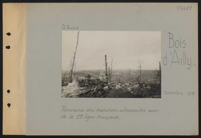 Bois d'Ailly. Panorama des tranchées allemandes vues de la première ligne française