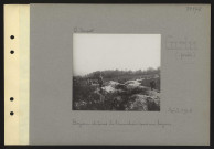 Curlu (près). Boyau et ânes de tranchées dans un boyau