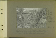 Lac d'Alfeld (Près Sewen). Construction d'une route d'Alfeld au Ballon d'Alsace. Travaux d'ouverture d'une partie de la route