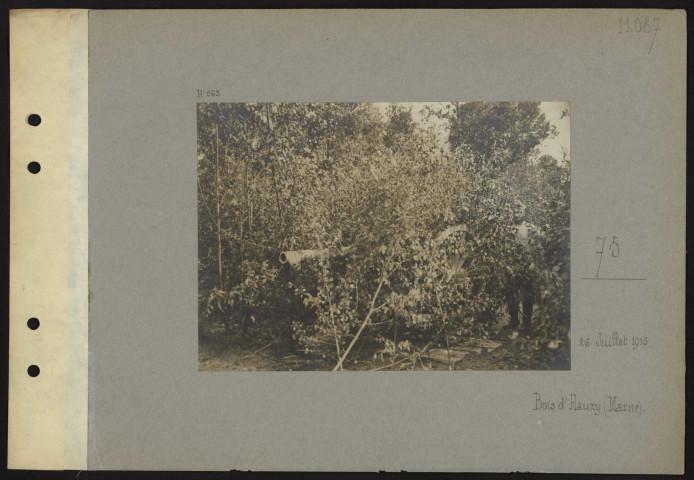 Bois d'Hauzy (Marne). 75