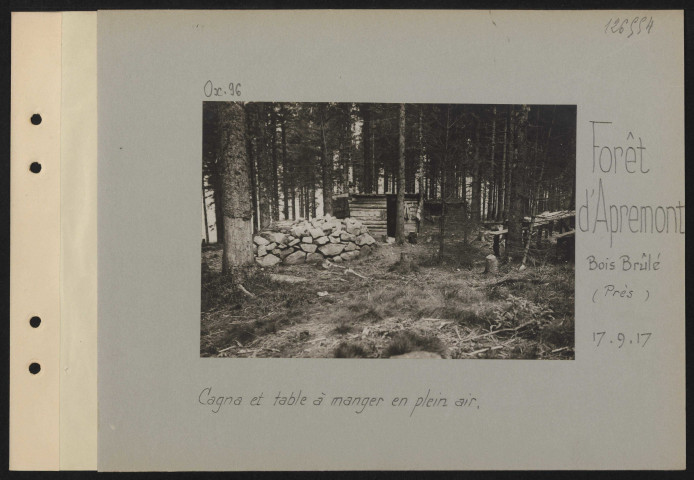 Forêt d'Apremont, Bois Brûlé (près). Cagna et table à manger en plein air