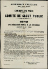 N°364. Rapport du délégué civil à la guerre au Comité de Salut public