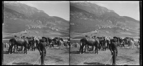 [Paysage alpin. Chasseurs alpins. Chevaux]