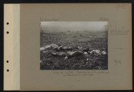 Gerbéviller. Lieu-dit La Prêle. Cadavres de civils fusillés par les Allemands en août 1914