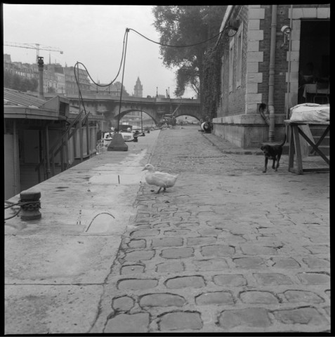 Scènes de rue à Paris