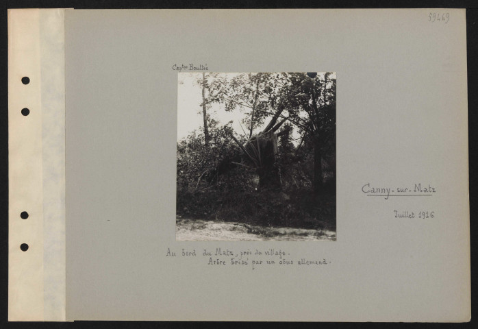 Canny-sur-Matz. Au bord du Matz, près du village. Arbre brisé par un obus allemand