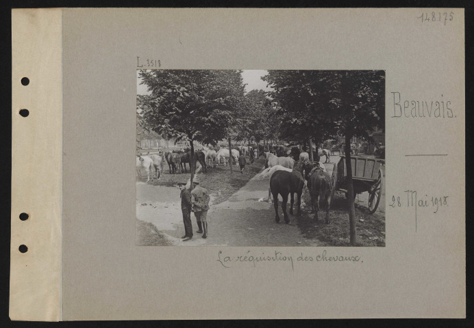 Beauvais. La réquisition des chevaux