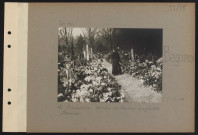 Bagneux. Le cimetière. Tombes militaires anglaises fleuries