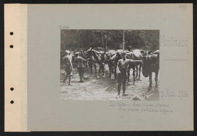 Montmacq. Le château : dans le parc, chevaux d'un échelon d'artillerie anglaise