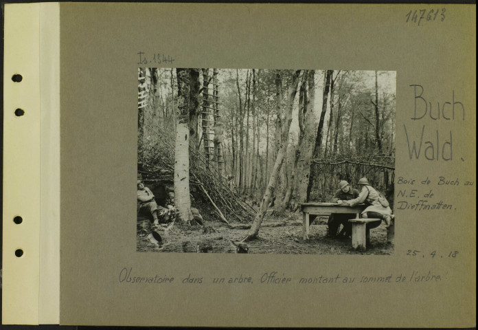 Buch-Wald (Bois de Buch au nord-est de Dieffmatten). Observatoire dans un arbre. Officier montant au sommet de l'arbre