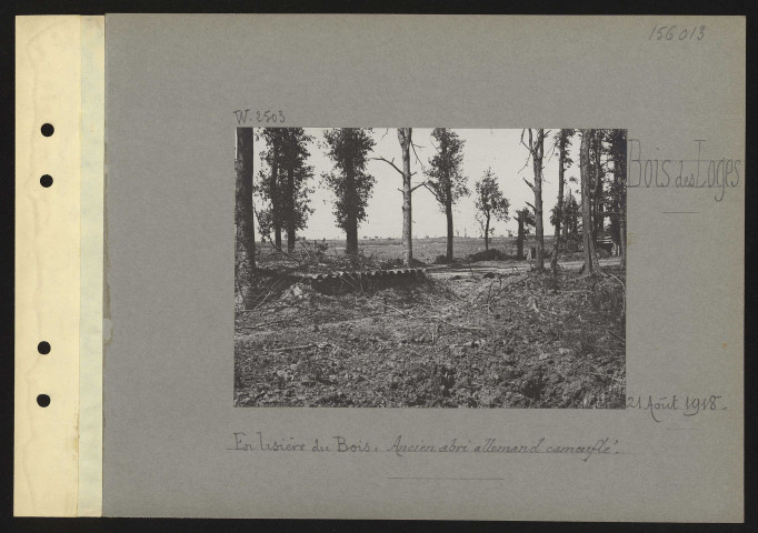 Bois des Loges. En lisière du bois : ancien abri allemand camouflé