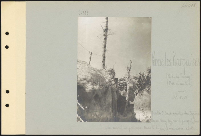 Ferme Les Marquises (nord-est de Prunay) (près et au nord-ouest). Quartier ouest. Sous-quartier des Sapins. Boyau Menez. À gauche, sur le parapet, faux arbre servant de périscope. Dans le boyau, le vrai arbre abattu