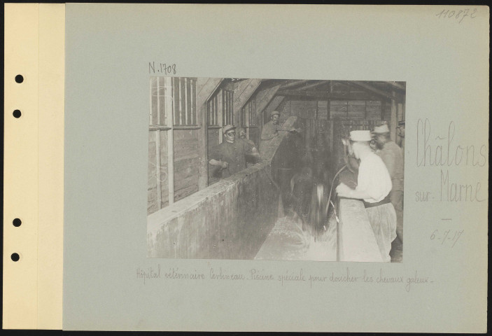 Châlons-sur-Marne. Hôpital vétérinaire Corbineau. Piscine spéciale pour doucher les chevaux galeux