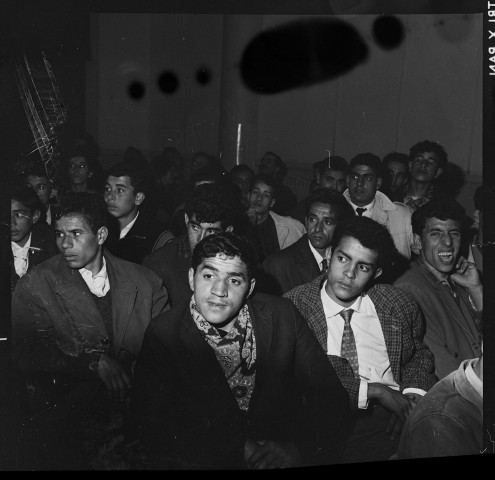 Reportage sur une séance de "Ciné-Pop" (cinéma populaire) à Alger (suite)