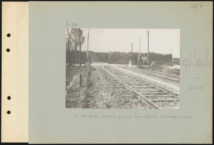 Sept-Saulx. La voie ferrée masquée par une haie artificielle au passage à niveau