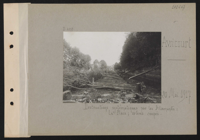 Avricourt. Destructions systématiques par les Allemands : la place ; arbres coupés
