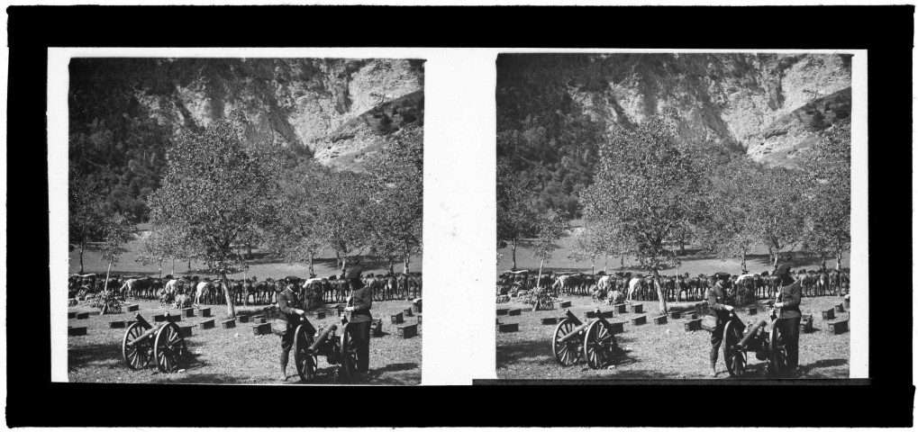 [Paysage alpin. Canons. Chasseurs alpins]
