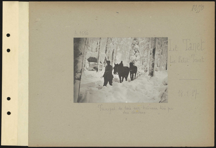 Le Tanet, Le Petit Tanet. Transport de bois sur traîneau tiré par des chevaux