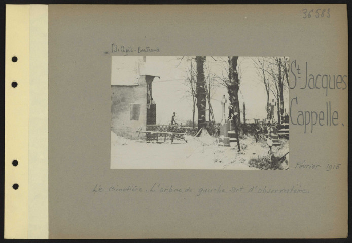 Saint-Jacques Cappelle. Le cimetière. L'arbre de gauche sert d'observatoire