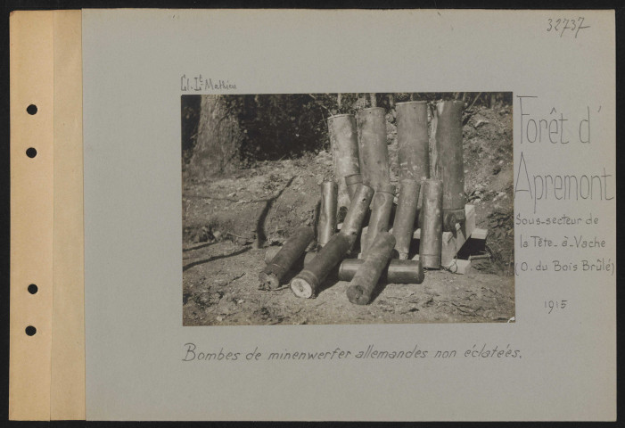 Forêt d'Apremont, sous-secteur de la Tête-à-Vache (ouest du Bois Brûlé). Bombes de minenwerfer allemand