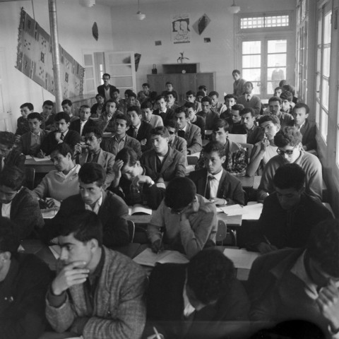 Reportage sur le domaine de la Trappe, propriété nationalisée de la famille Borgeaud à Staouëli, près d'Alger (fin). 9