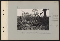 La Panneterie (sud de Libermont) (près de). Ligne de résistance allemande et mitrailleuses allemandes abandonnées