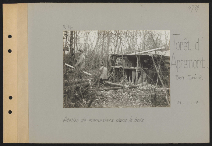Forêt d'Apremont (Bois Brûlé). Atelier de menuisiers dans le bois