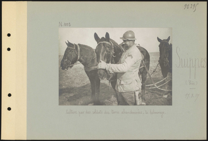 Suippes (près). Culture par des soldats des terres abandonnées. Le labourage