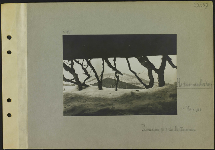Hartmannswillerkopf. Panorama pris du Molkenrain