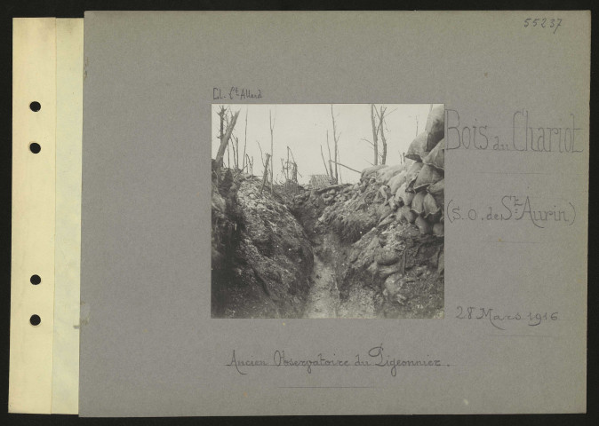 Bois du Chariot (sud-ouest de Saint-Aurin). Ancien observatoire du Pigeonnier