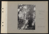Offémont (parc de). Tombe de soldat au pied d'un arbre