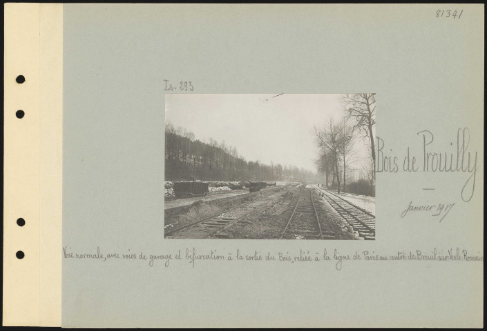 Bois de Prouilly. Voie normale, avec voies de garage et bifurcation à la sortie du bois, reliée à la ligne de Paris au centre de Breuil-sur-Vesle-Romain