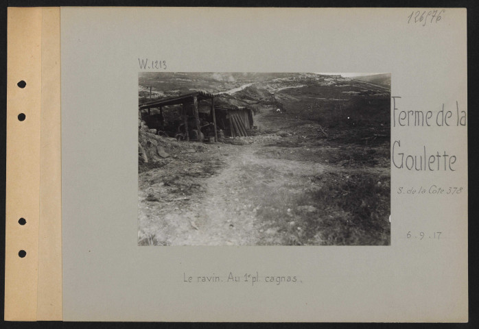 Ferme de la Goulette (sud de la cote 378). Le ravin. Au premier plan, cagnas