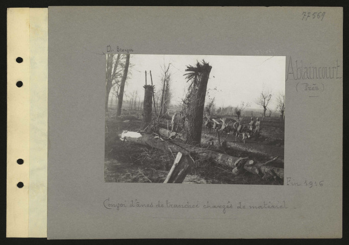 Ablaincourt (près). Convoi d'ânes de tranchée chargés de matériel